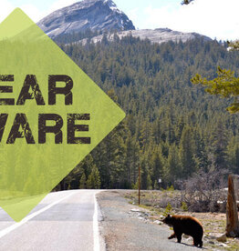 Rendezvous Adventure Outfitters Bear Awareness 6/15