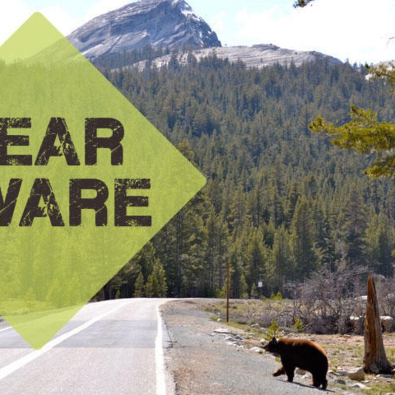 Rendezvous Adventure Outfitters Bear Awareness 6/15