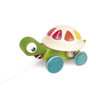 Janod Toys Zigolos Pull Along Turtle