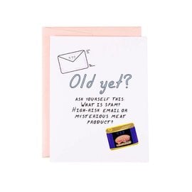 The Witty Gritty Paper Co. Birthday Card - What Is Spam