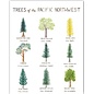 Yardia Trees of the PNW Print