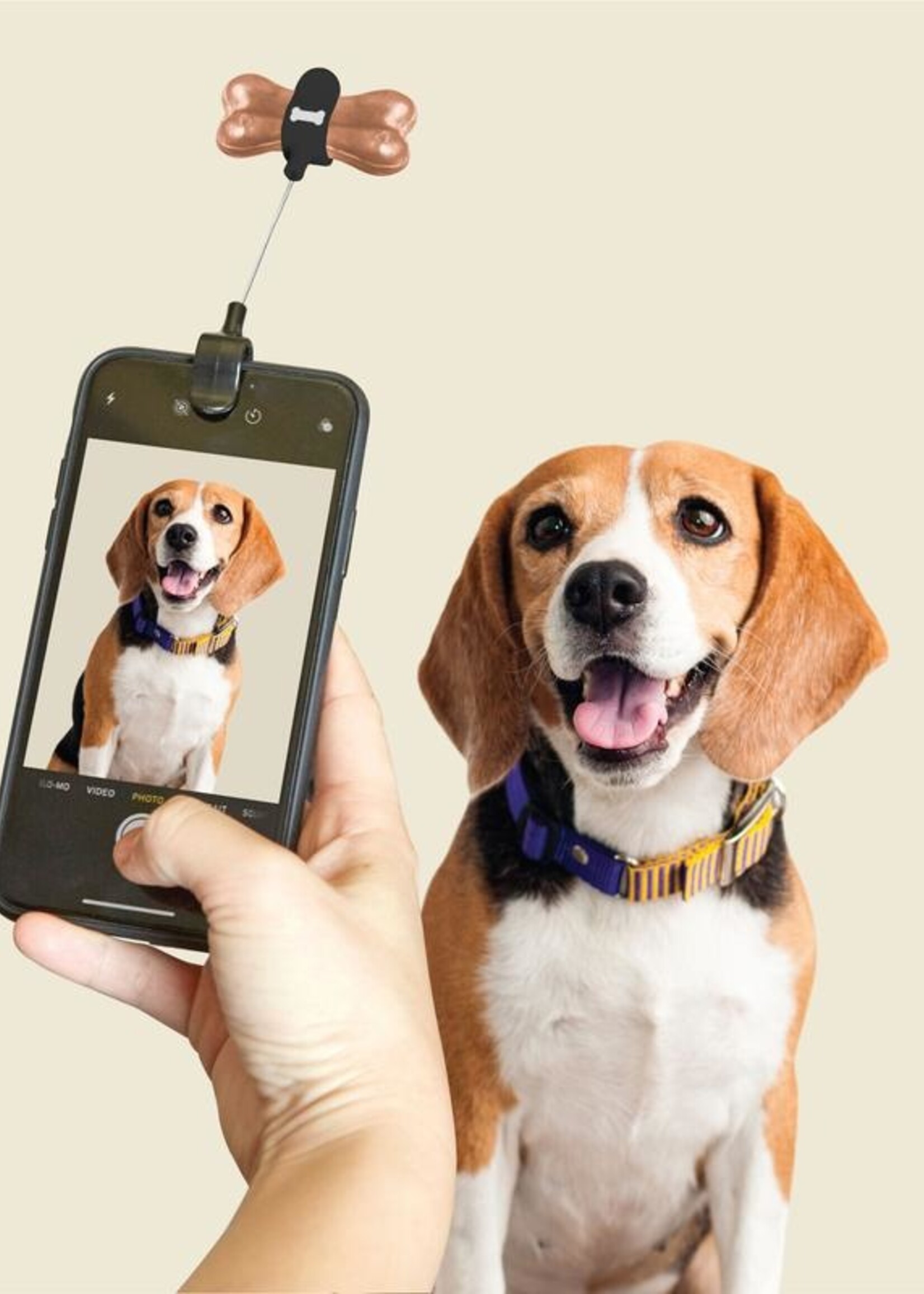 Kikkerland Design Inc Dog Treat Clip
