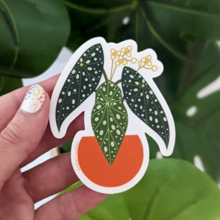 Amber Leaders Polka Dot Begonia Sticker