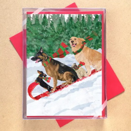 Allport Editions Dogs Toboggan Holiday Boxed Notes