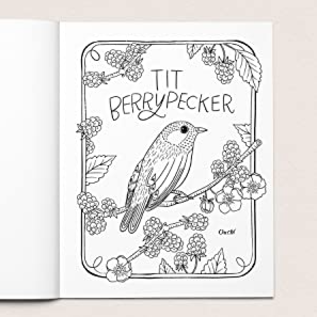 Your Very Favorite 30 Dirty Birdies Coloring Book
