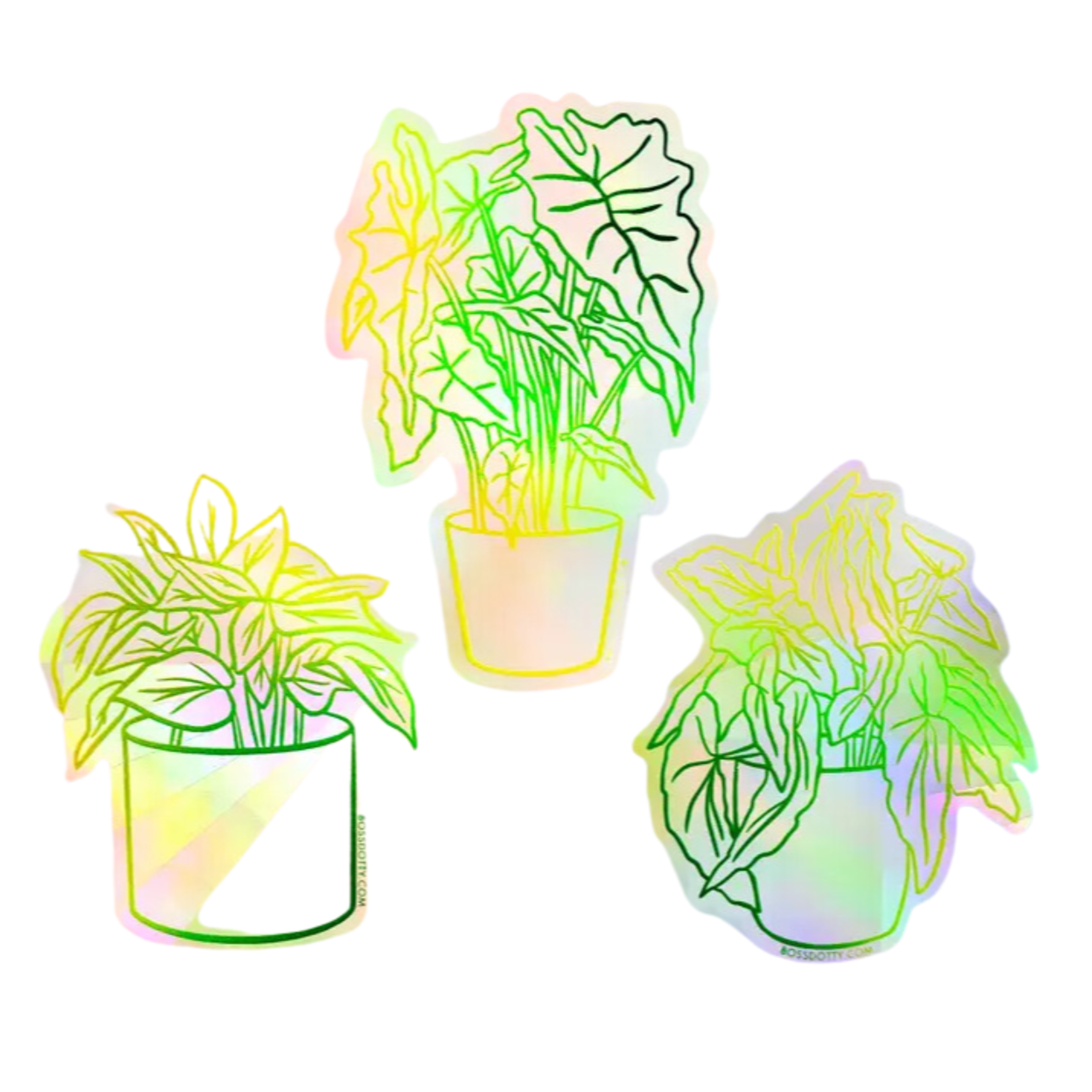 Boss Dotty Paper Co. House Plants Rainbow Suncatchers