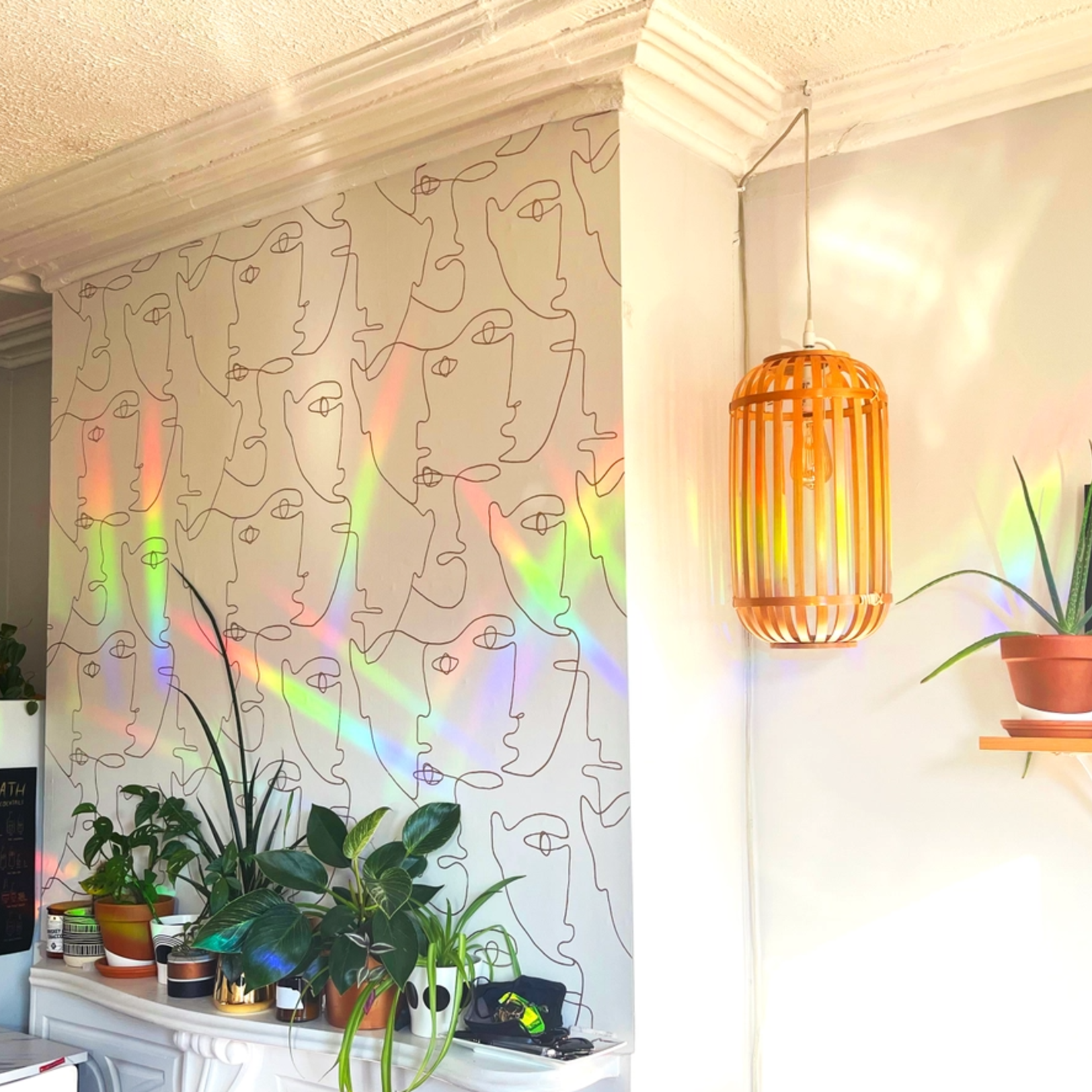 Boss Dotty Paper Co. House Plants Rainbow Suncatchers
