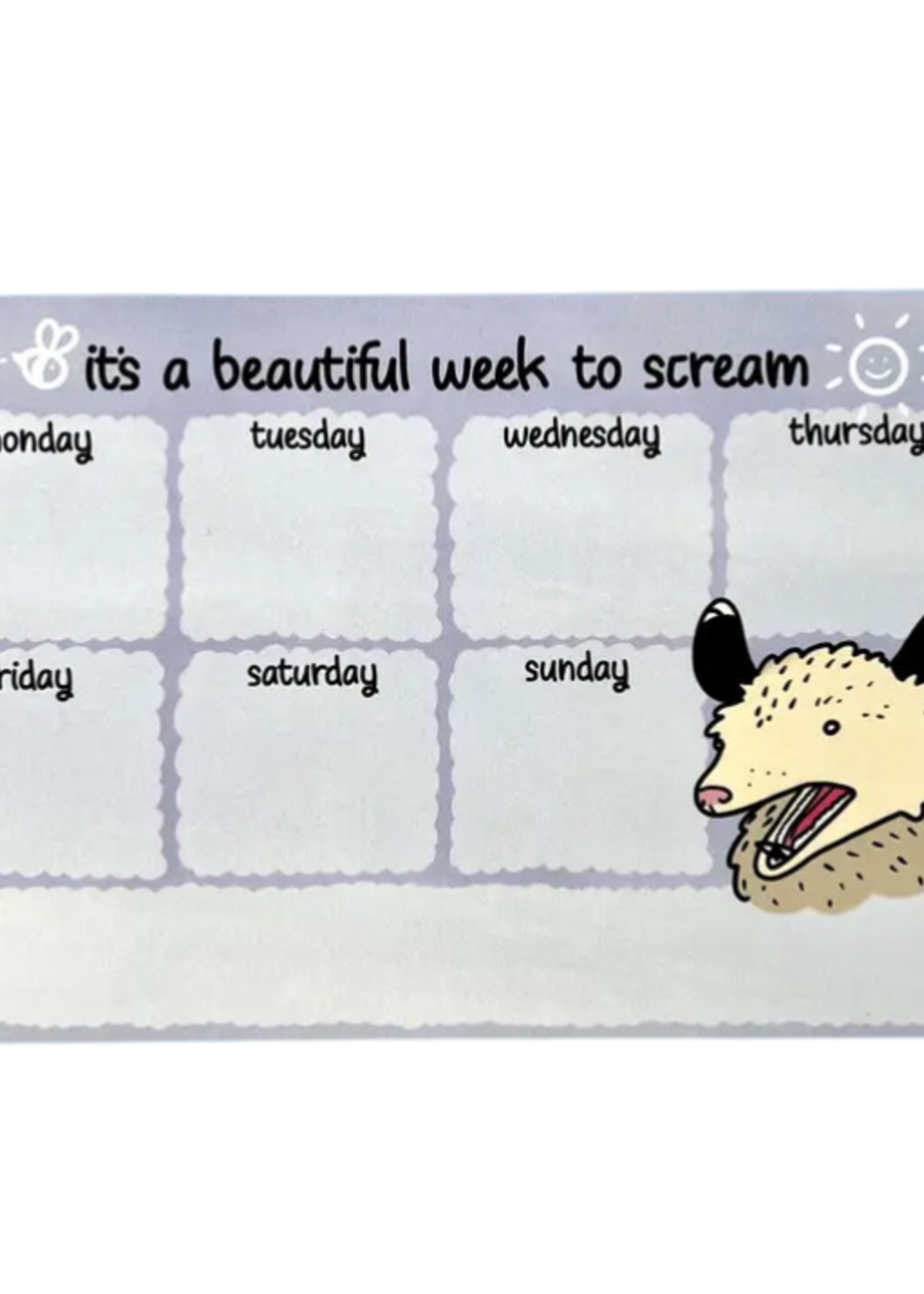 2Birds1Pencil Illustrations Screaming Possum Weekly Planner Notepad