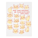 The Good Twin Birthday Card - Cats & Cake