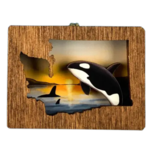 20 Leagues WA Orcas Magnet