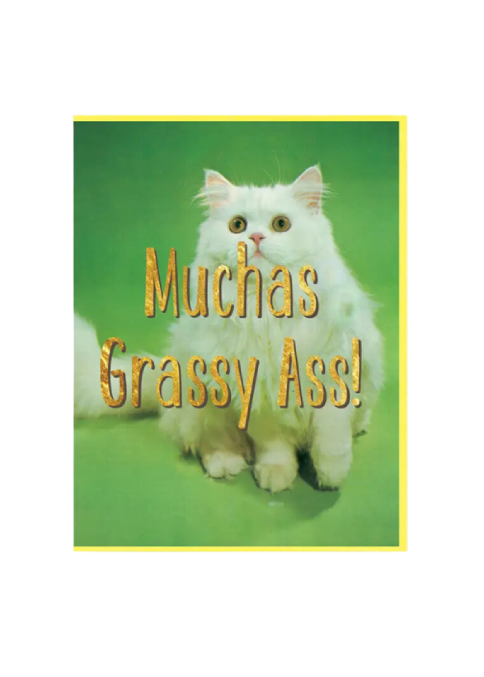 Smitten Kitten Thank You Card - Muchas Grassy Ass