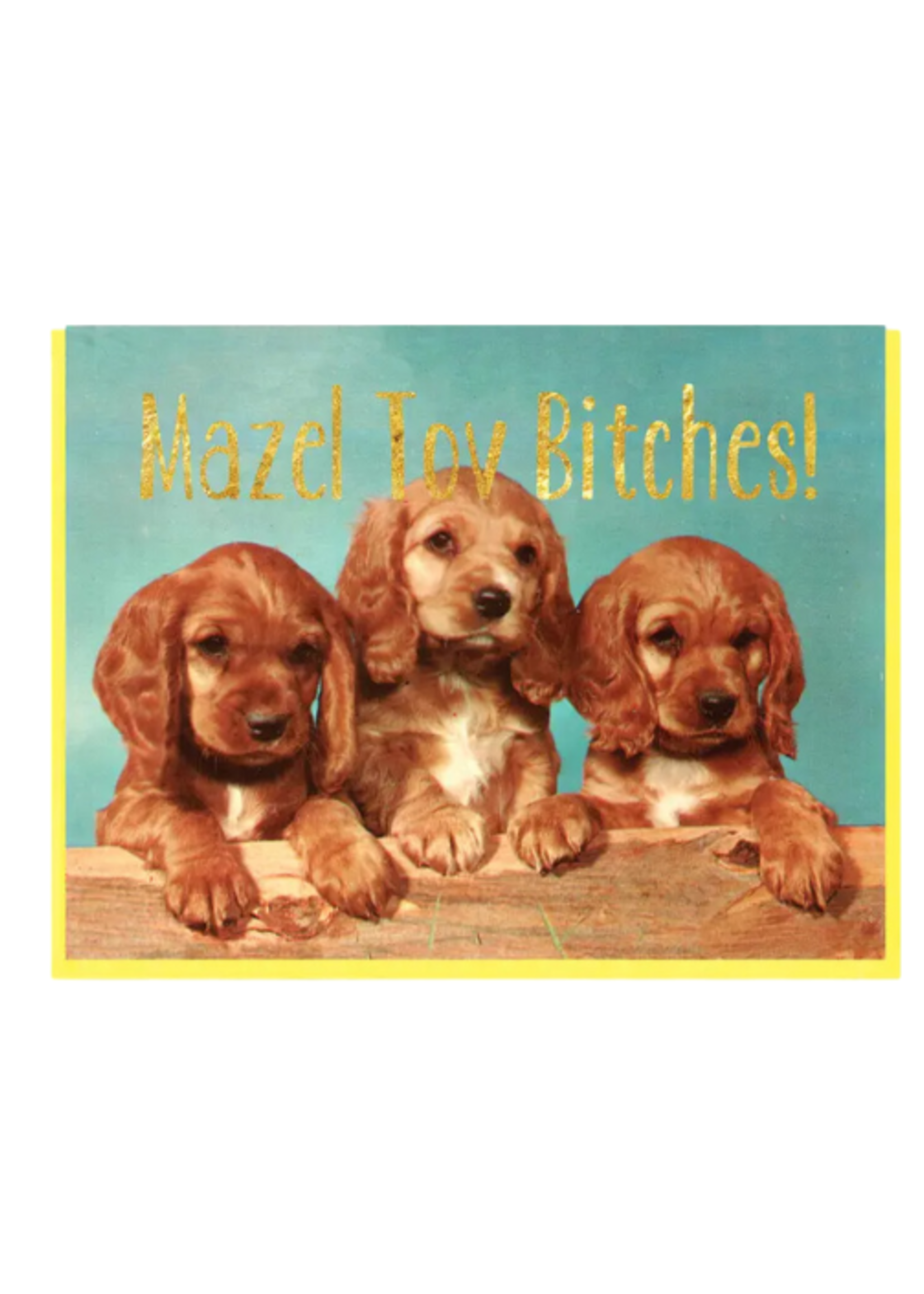 Smitten Kitten Thank You Card - Mazel Tov