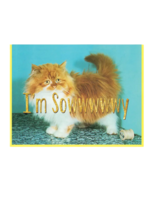 Smitten Kitten Apology Card - I'm Sowwy