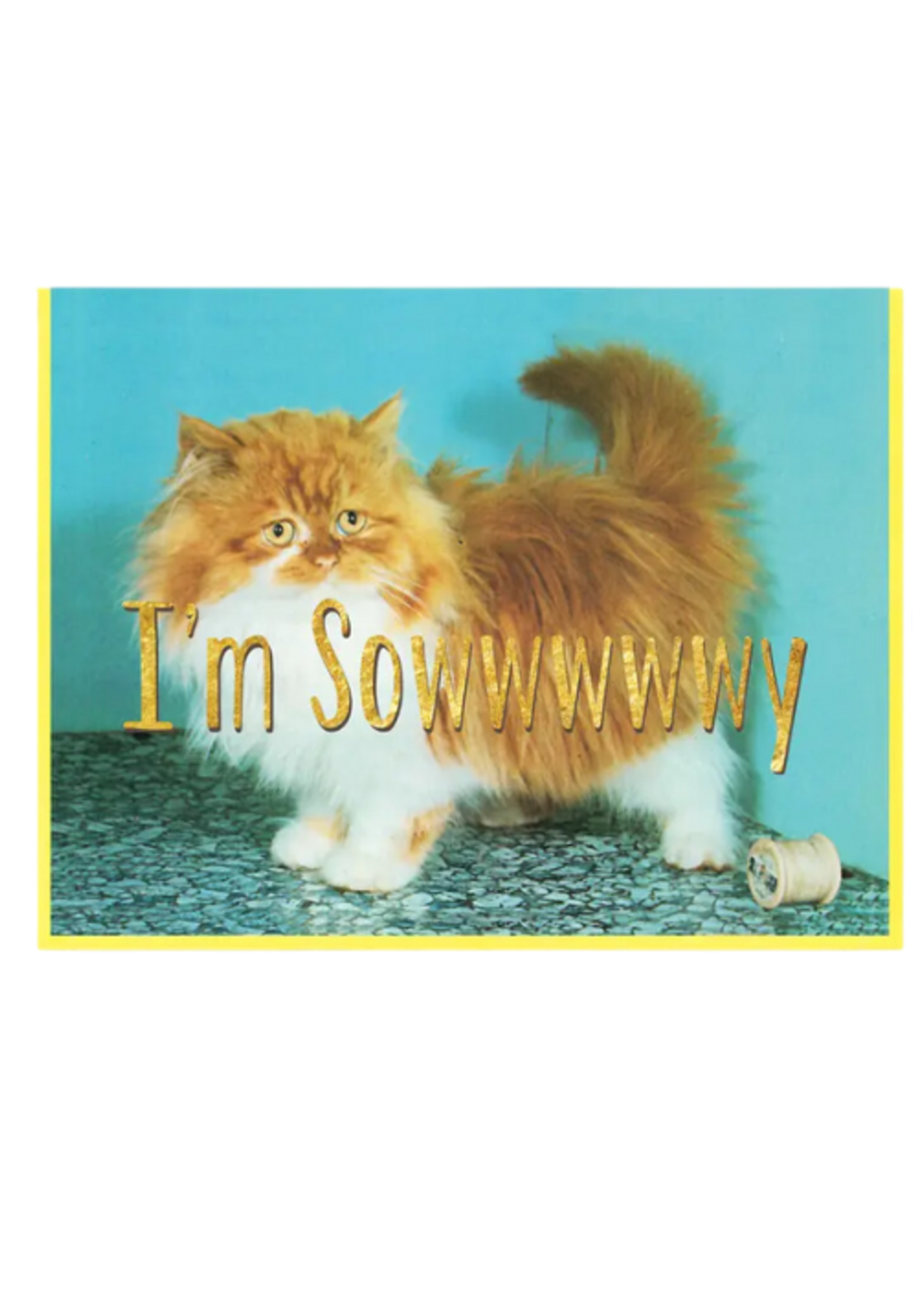 Smitten Kitten Apology Card - I'm Sowwy