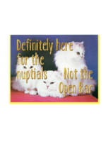 Smitten Kitten Wedding Card - Nuptials Not Open Bar