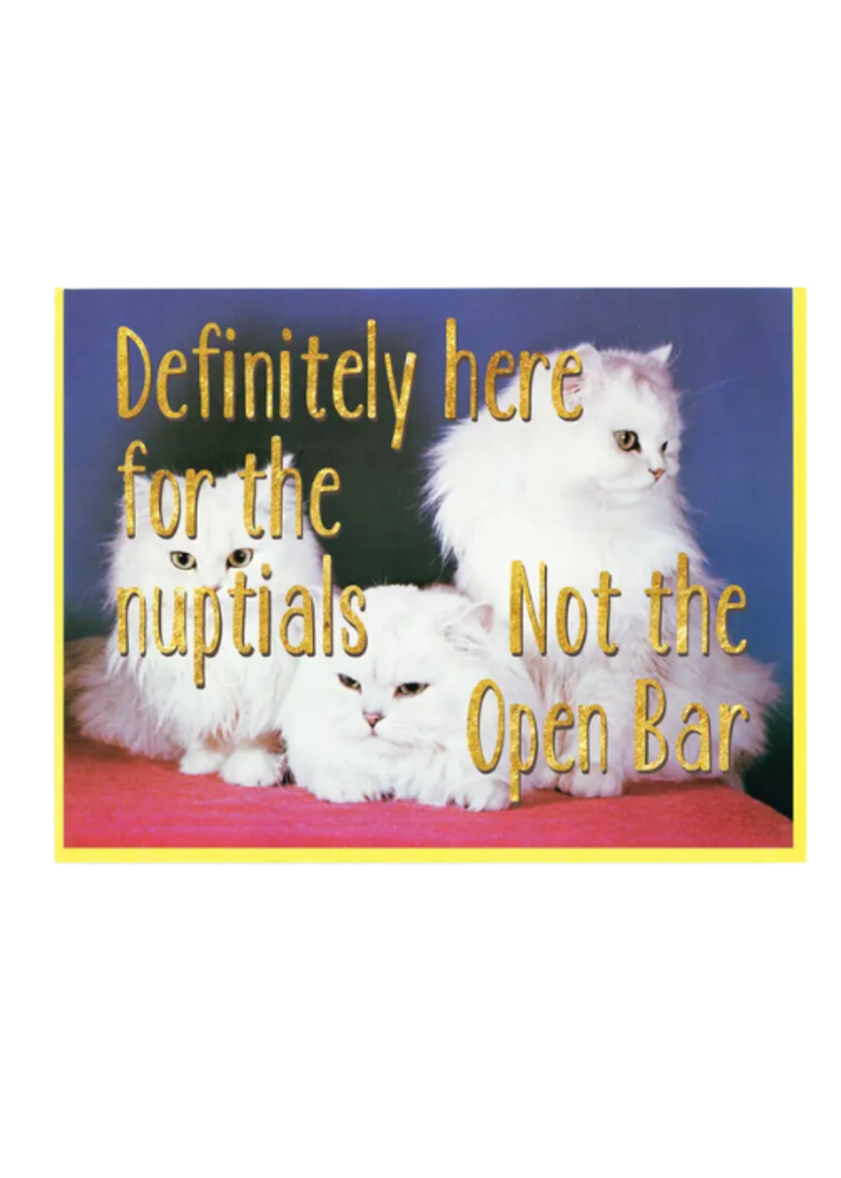 Smitten Kitten Wedding Card - Nuptials Not Open Bar