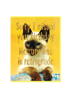 Smitten Kitten Birthday Card - Missed Your Birthday