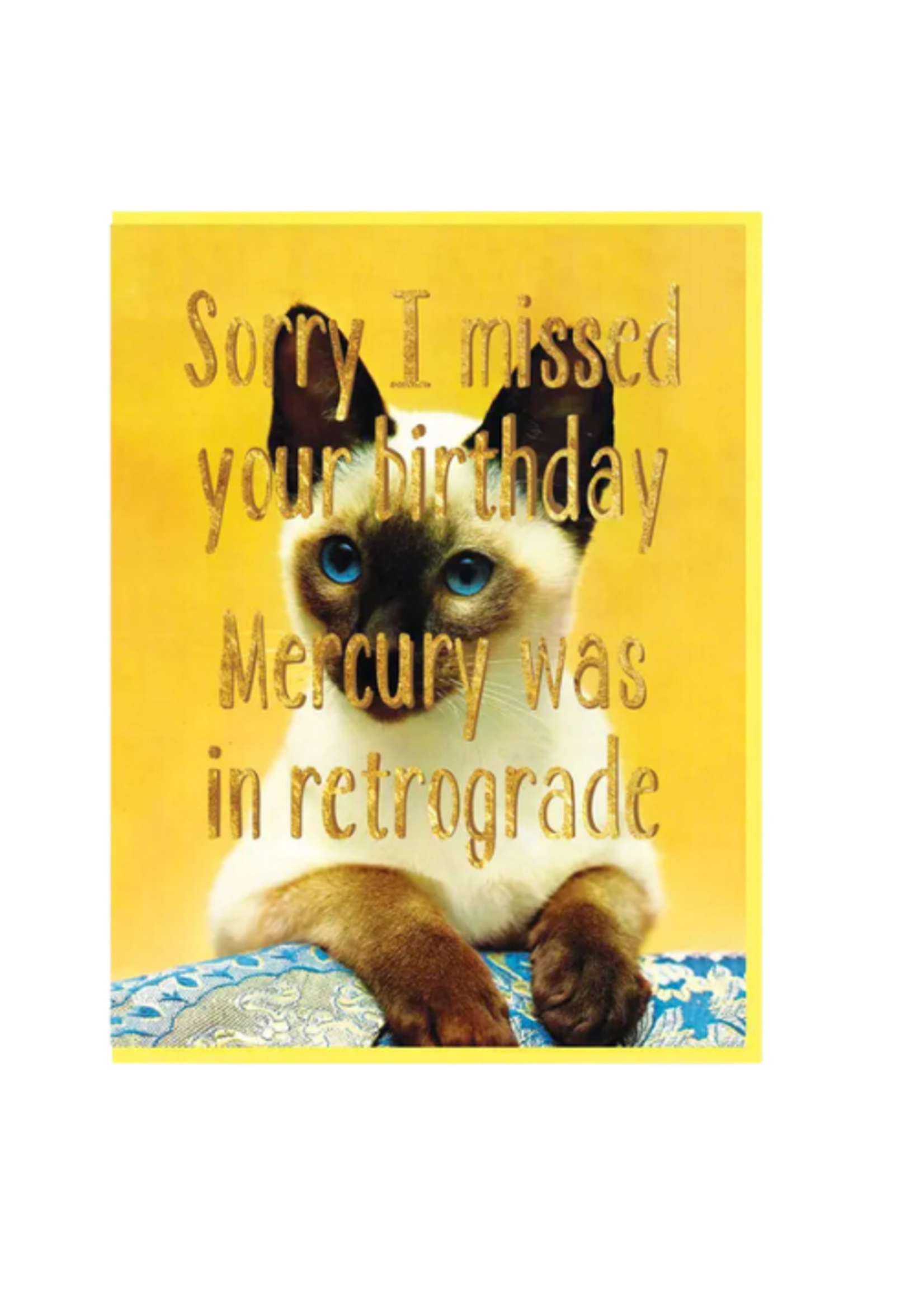 Smitten Kitten Birthday Card - Missed Your Birthday