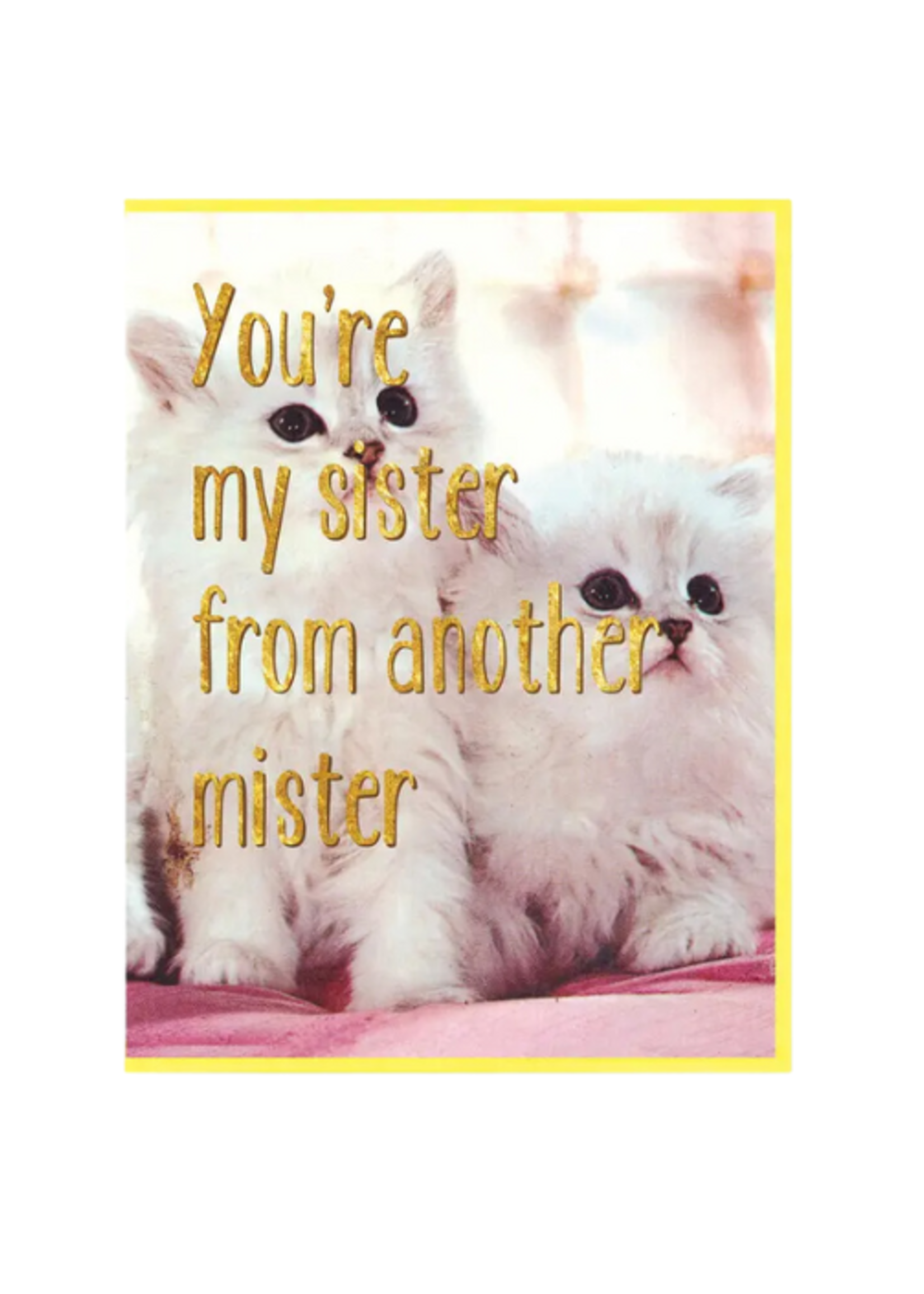 Smitten Kitten Birthday Card - Sister From Another Mister