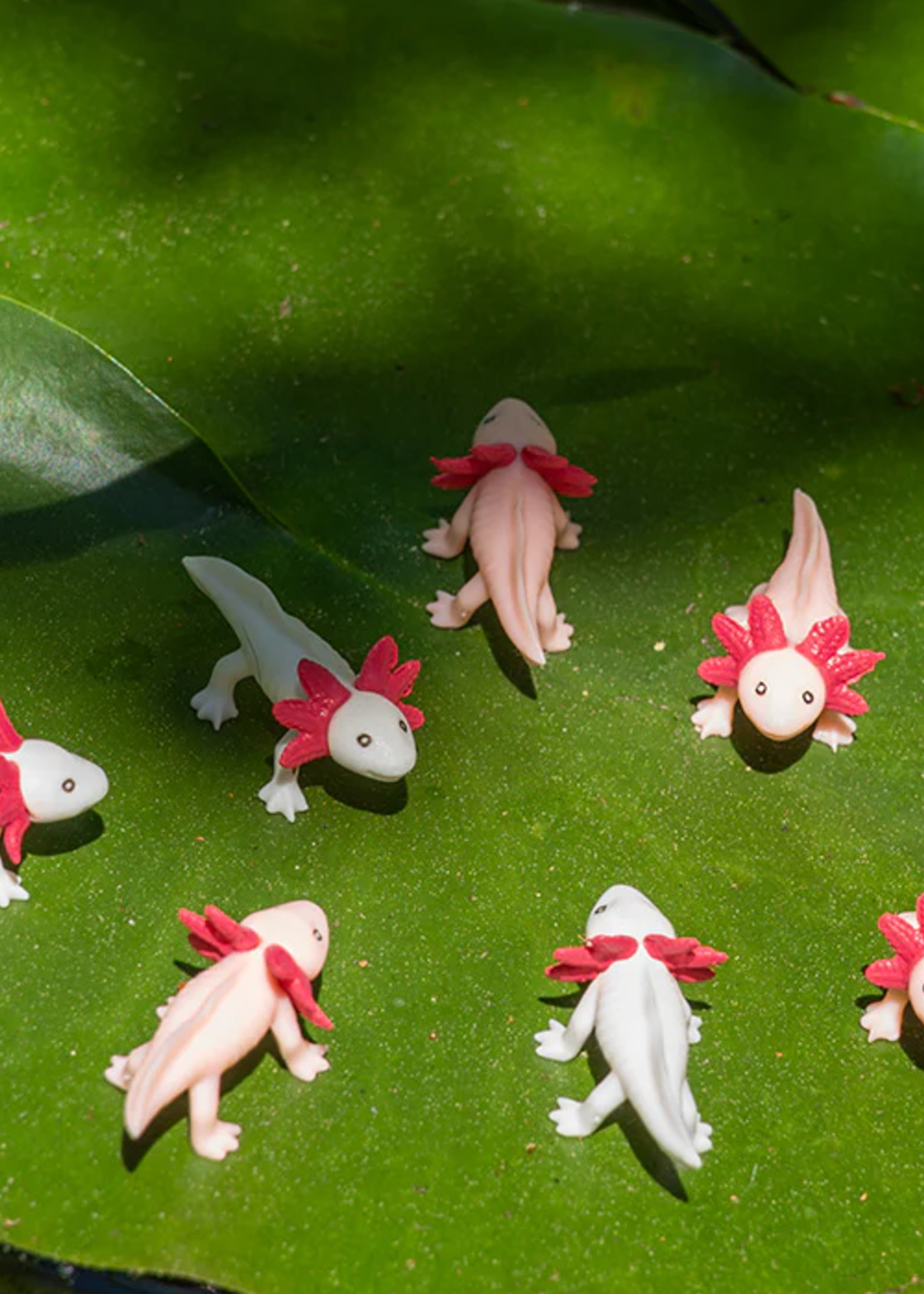 Archie McPhee Itty Bitty Axolotls