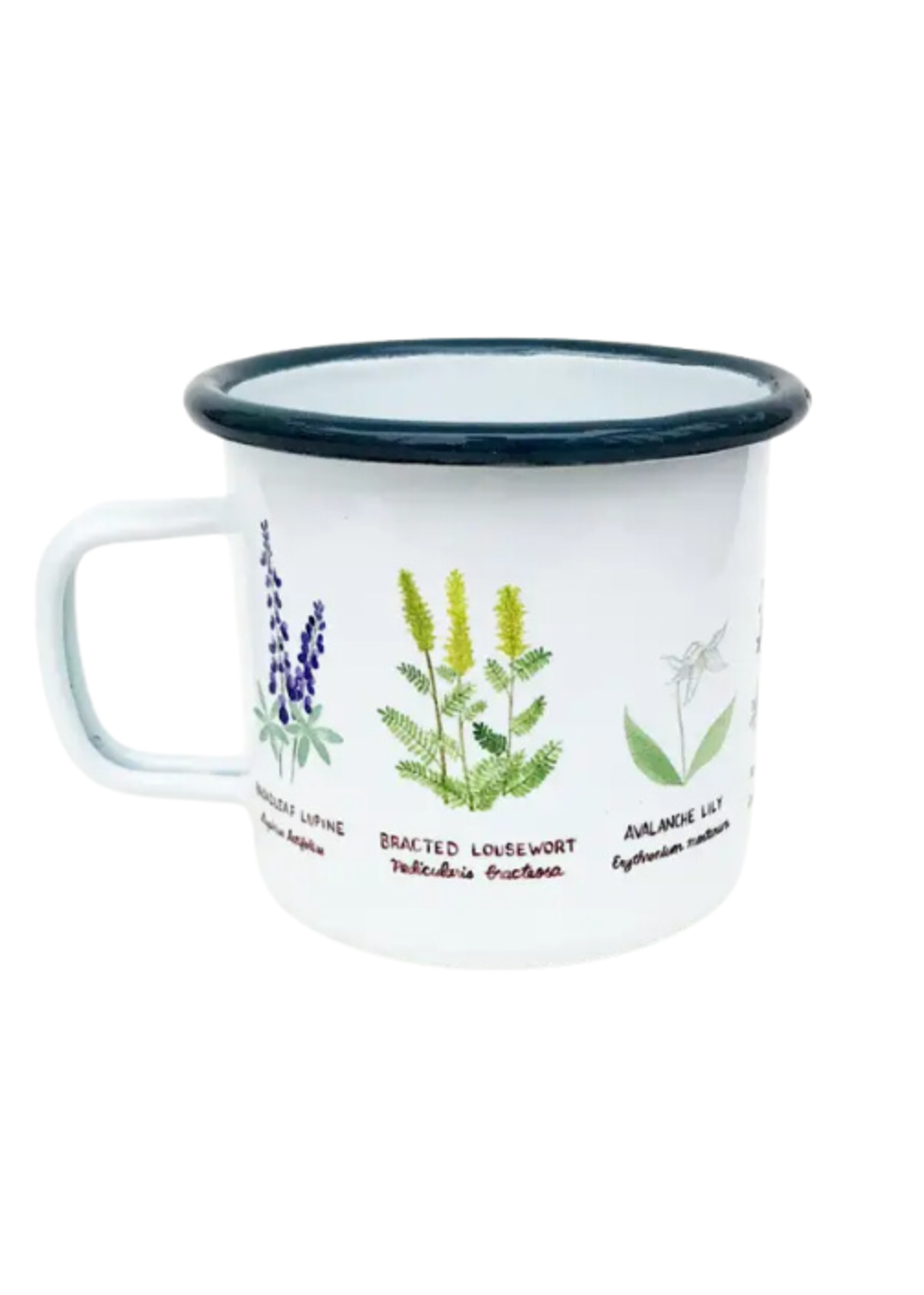Yardia Wildflowers Camp Mug