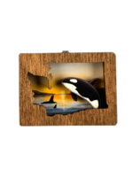 20 Leagues Orcas Magnet