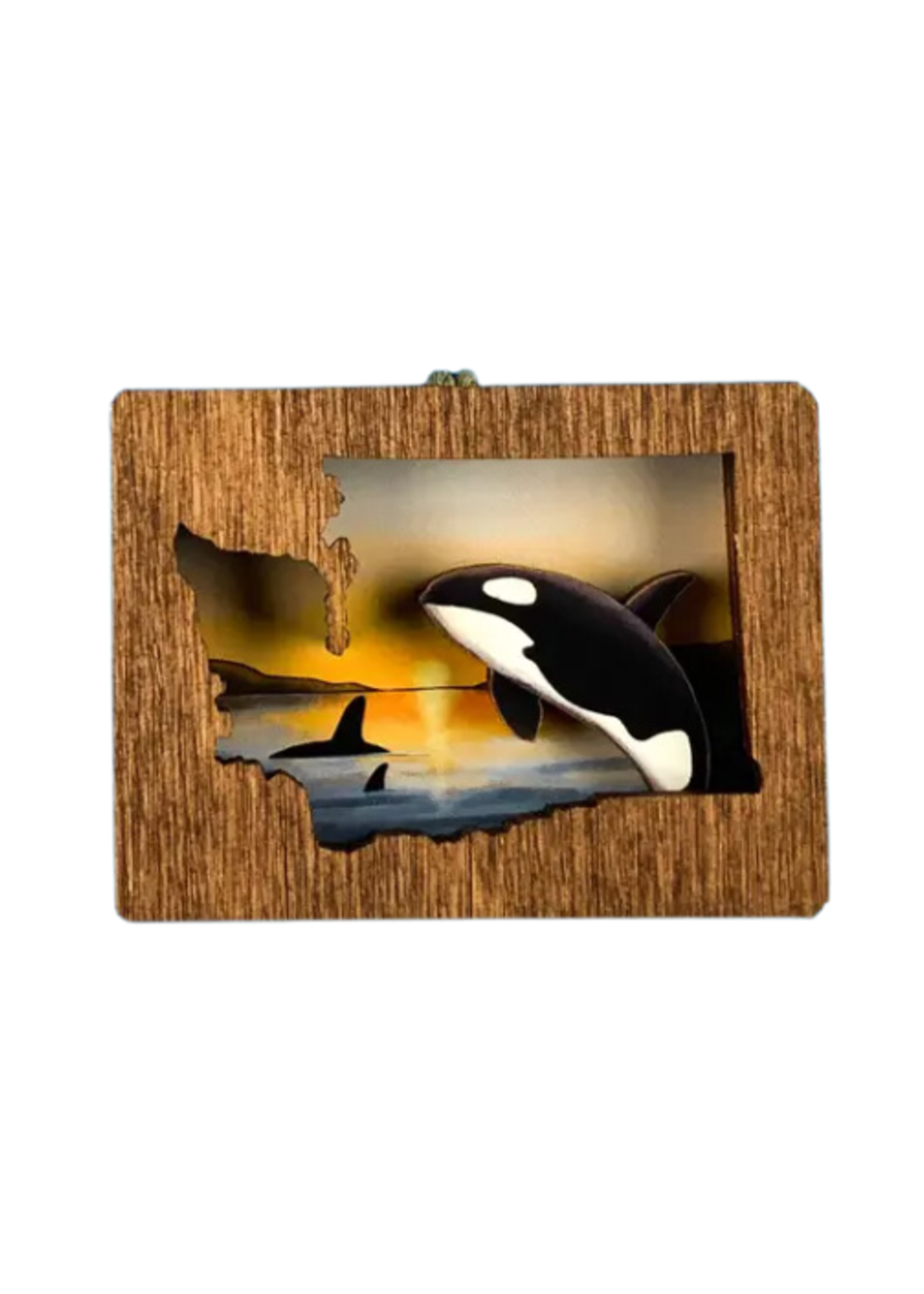 20 Leagues Orcas Magnet