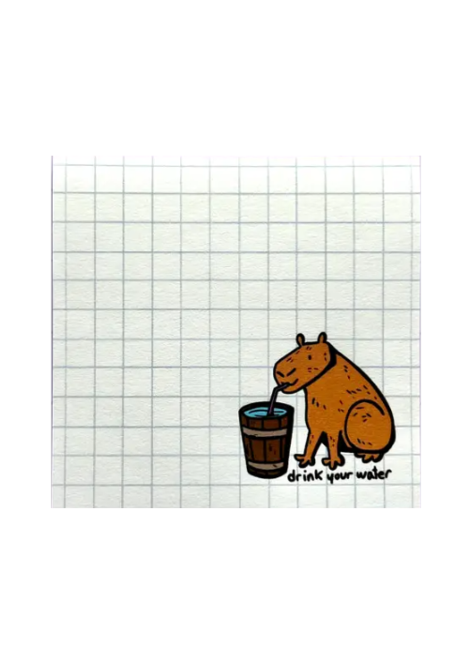 2Birds1Pencil Illustrations Drink Your Water Capybara Sticky Notes