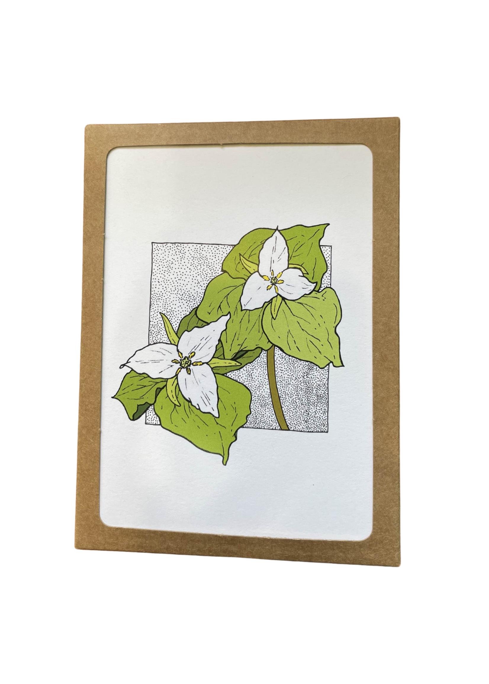 Lauren Nishizaki Designs PNW Native Plants Boxed Notes