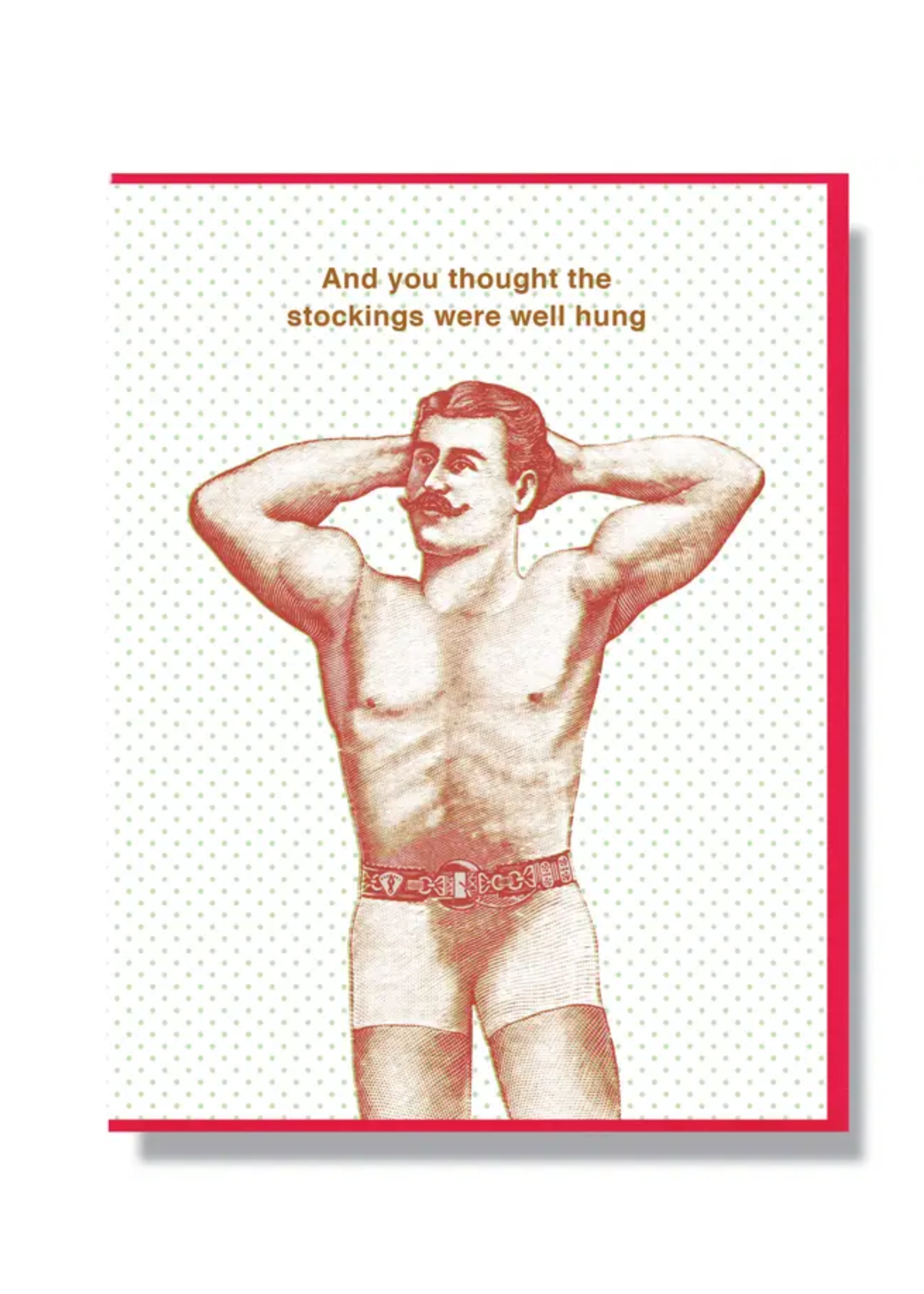 Smitten Kitten Holiday Card - Well Hung