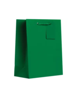 Jillson & Roberts Green Gift Bag
