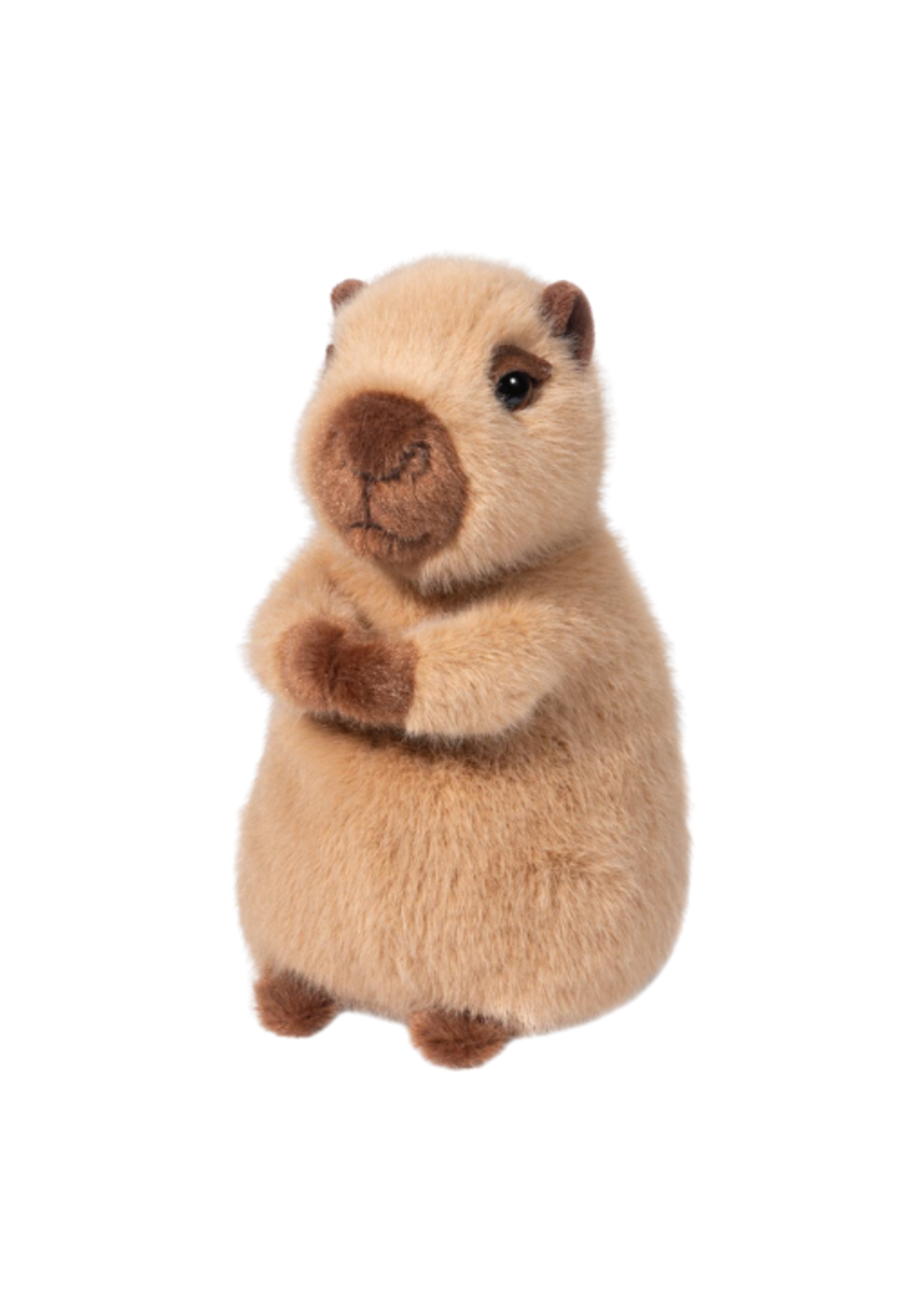 Douglas Company, Inc Chattie Capybara