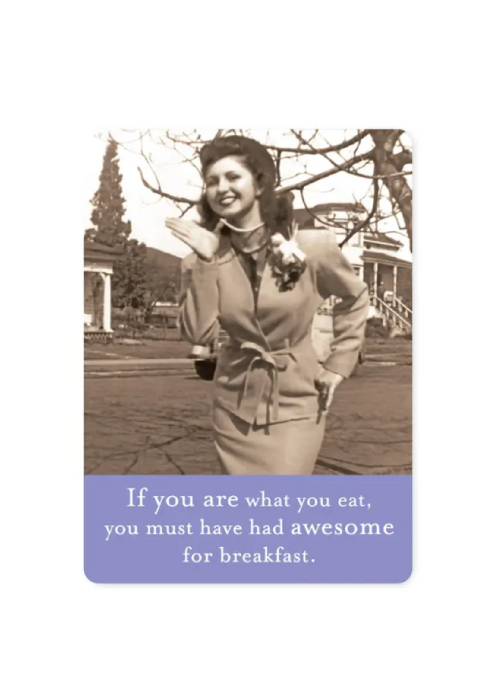 Shannon Martin Awesome For Breakfast Magnet