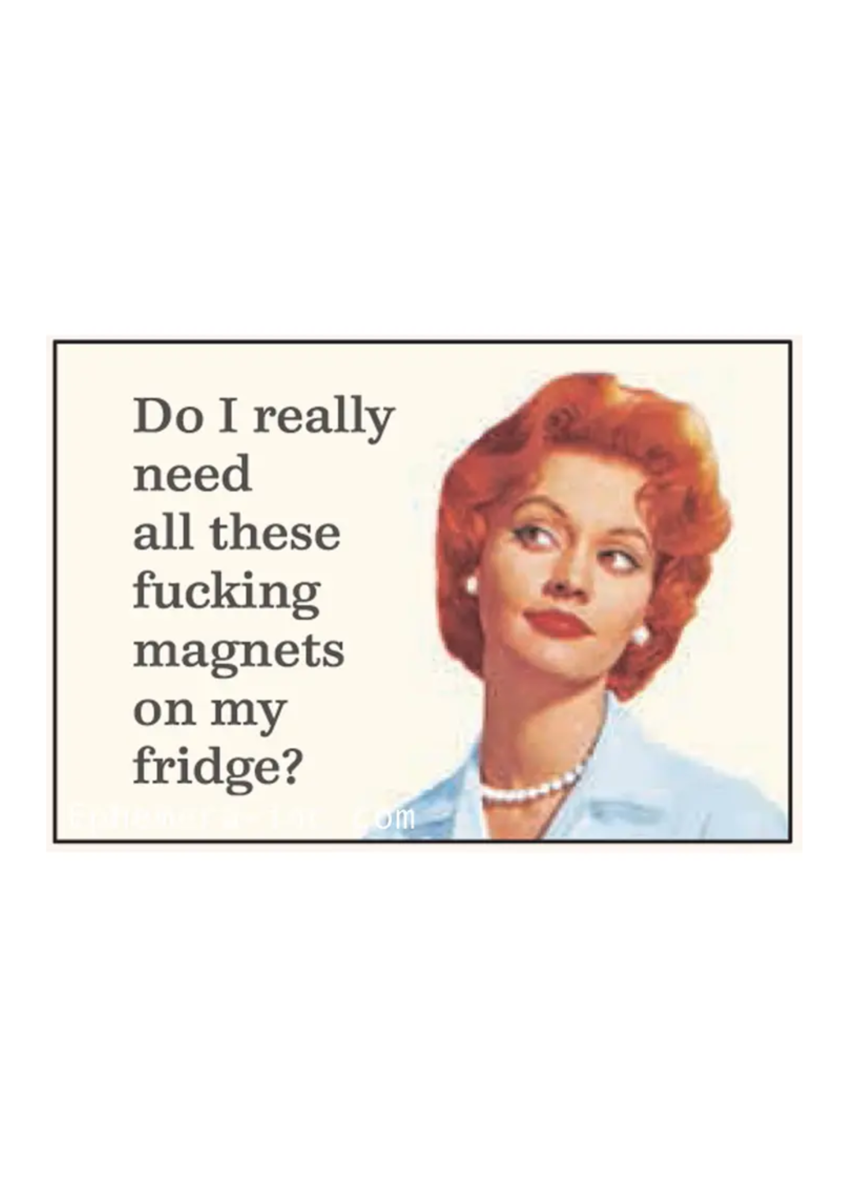 Ephemera Do I Really Need All These Fucking Magnets On My Fridge Magnet