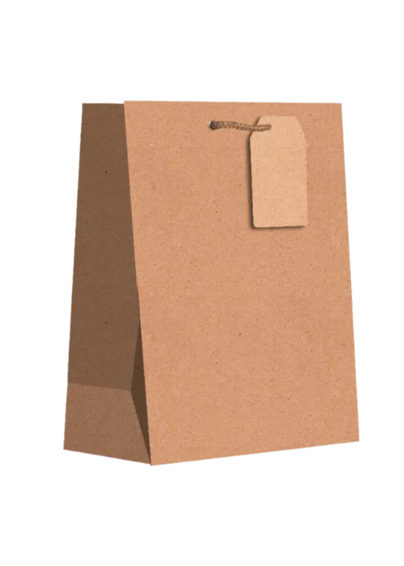 Jillson & Roberts Natural Gift Bag