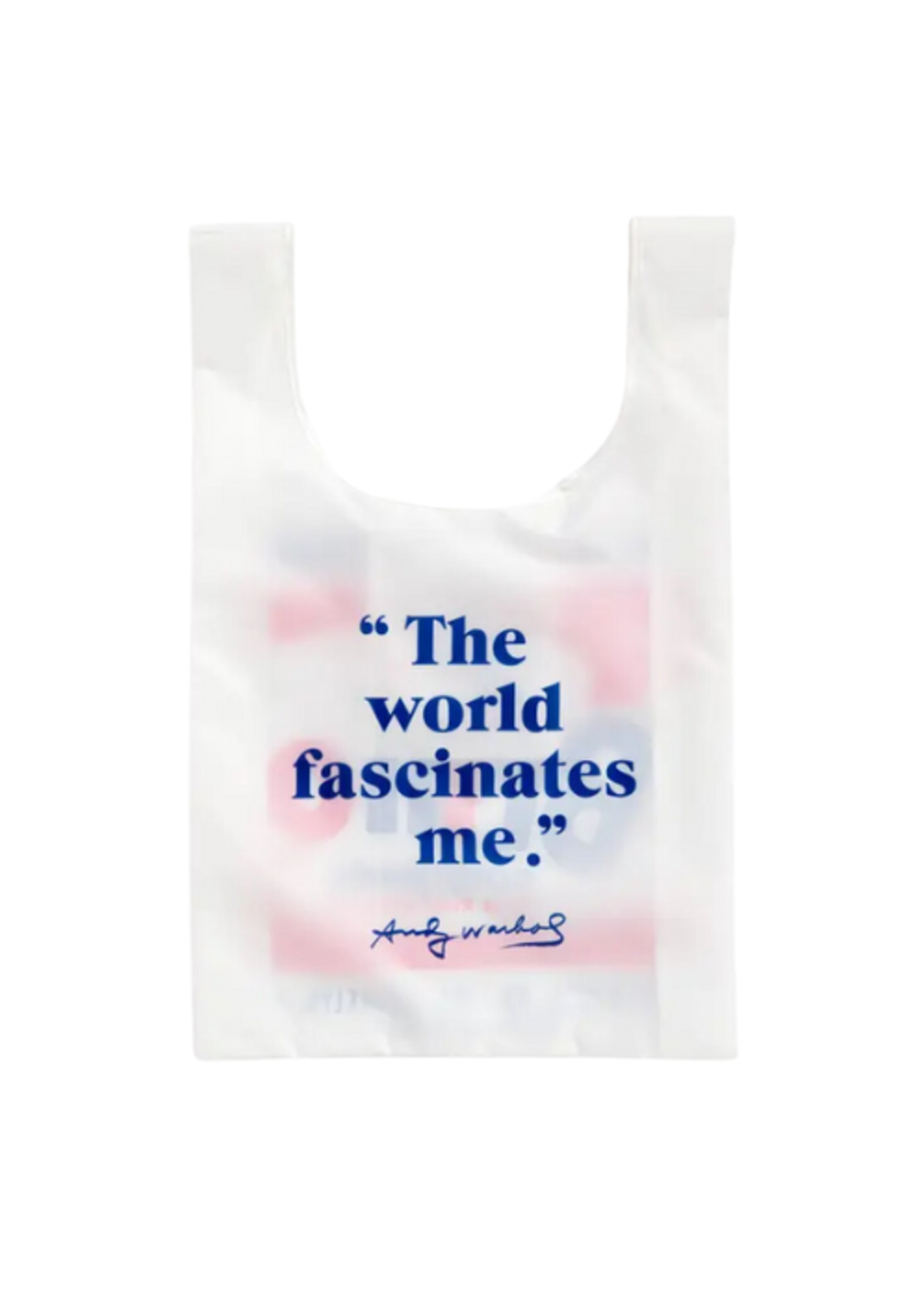 Chronicle Books Andy Warhol Brillo Bag