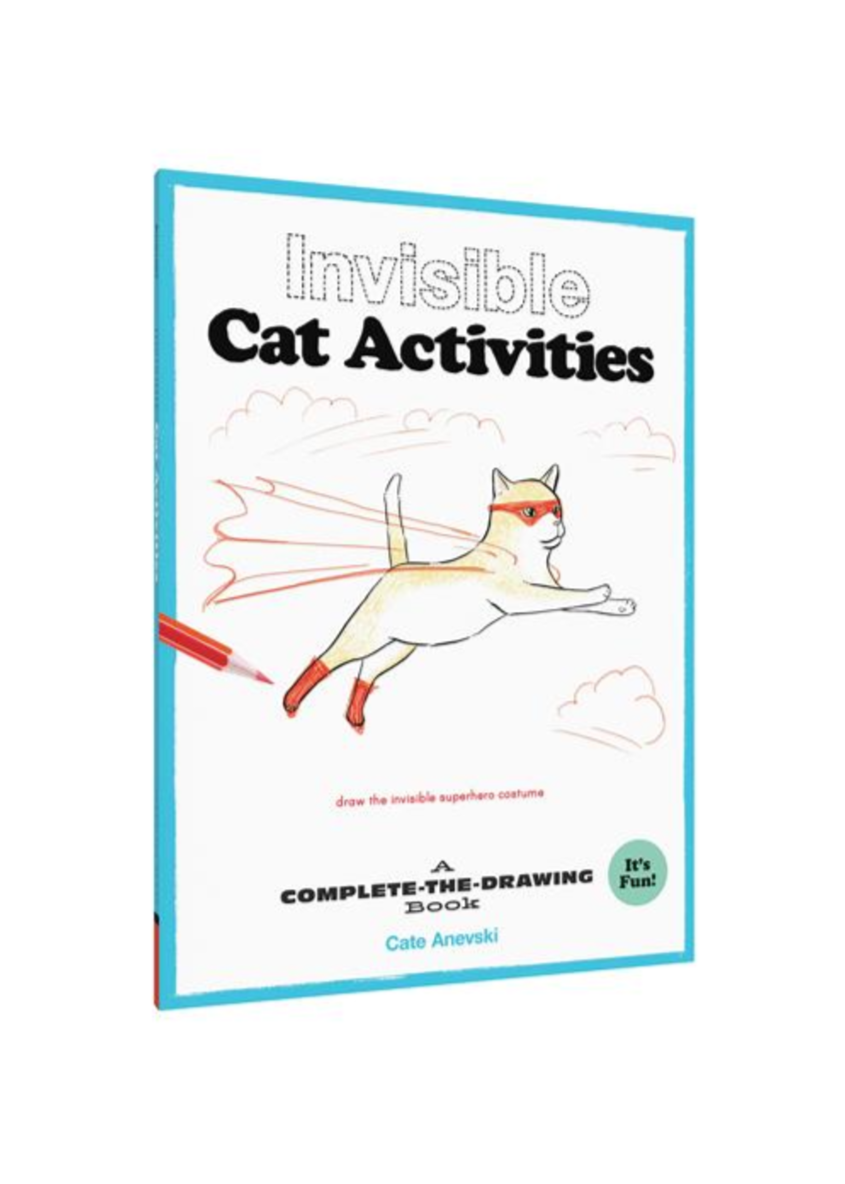 Chronicle Books Invisible Cat Activities