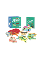 Hachette Book Group Birds Wooden Magnet Set