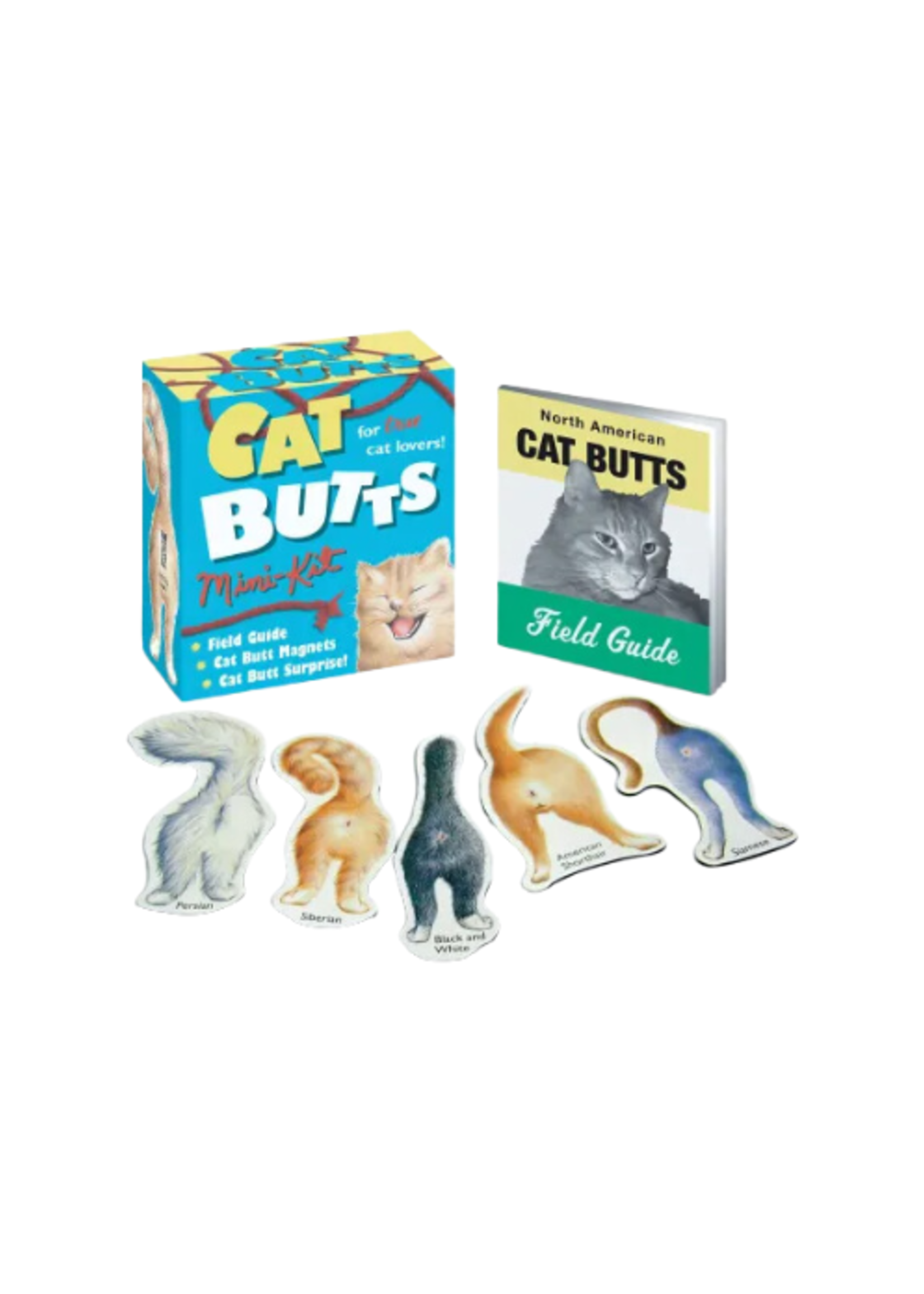 Hachette Book Group Cat Butts