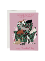 Red Cap Cards Valentine's Day Card - Surround Yourself Cats