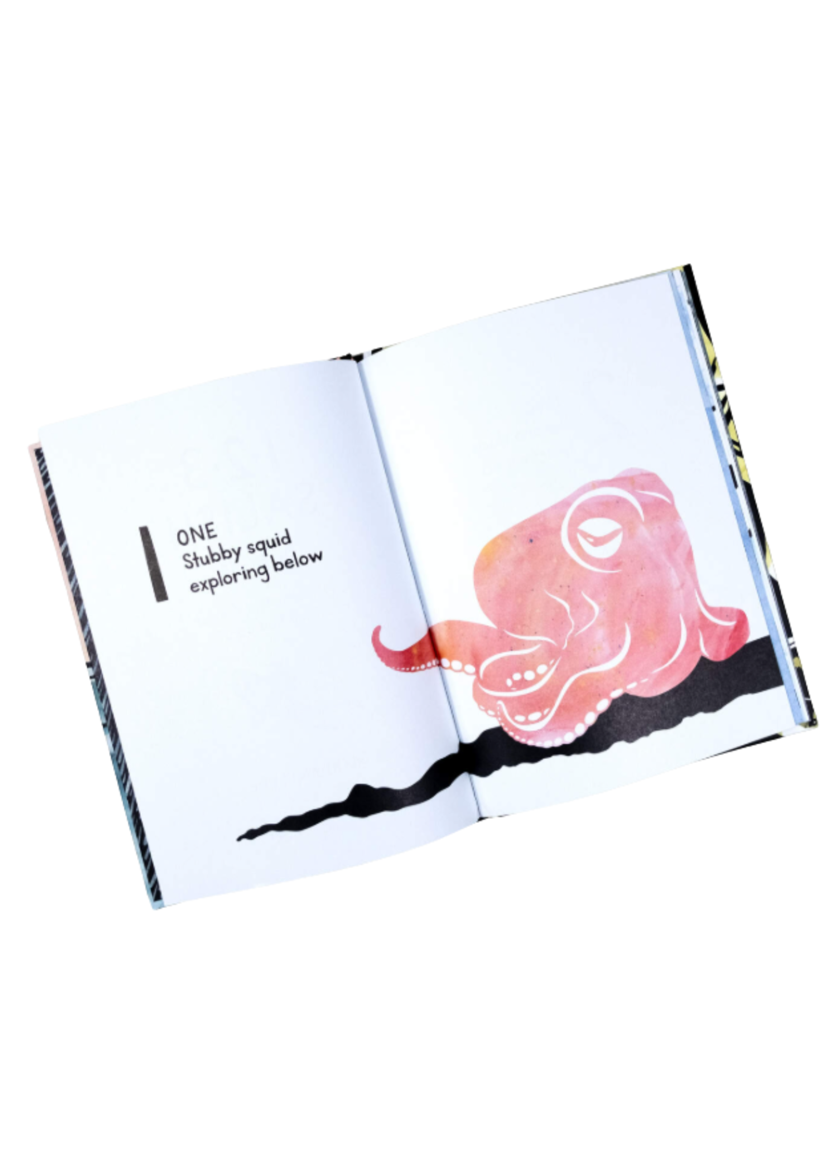 Buy Olympia 1 ,2 ,3 Salish Sea -  A Pacific Northwest Counting Book