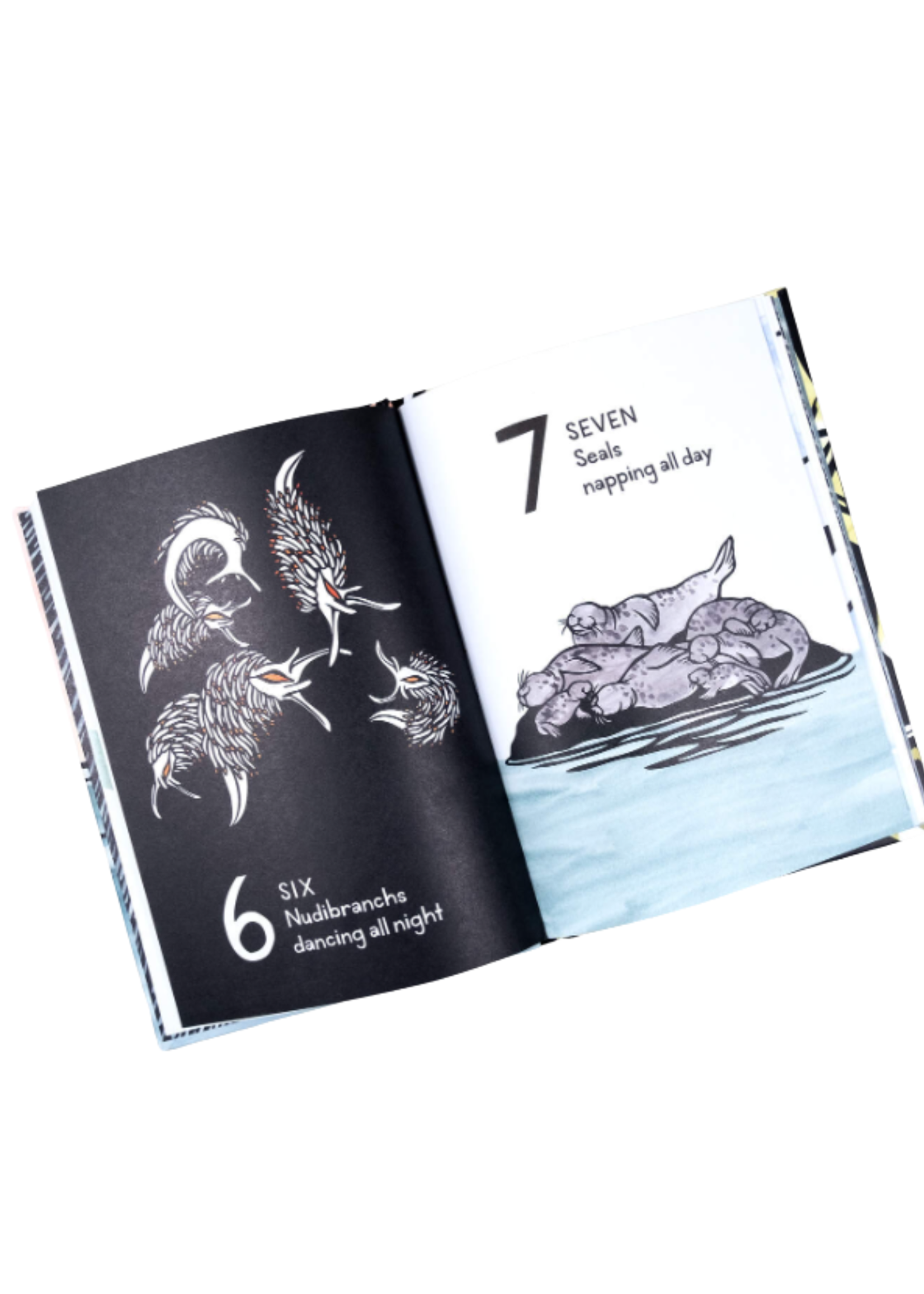 Blue Star Press 1 ,2 ,3 Salish Sea -  A Pacific Northwest Counting Book