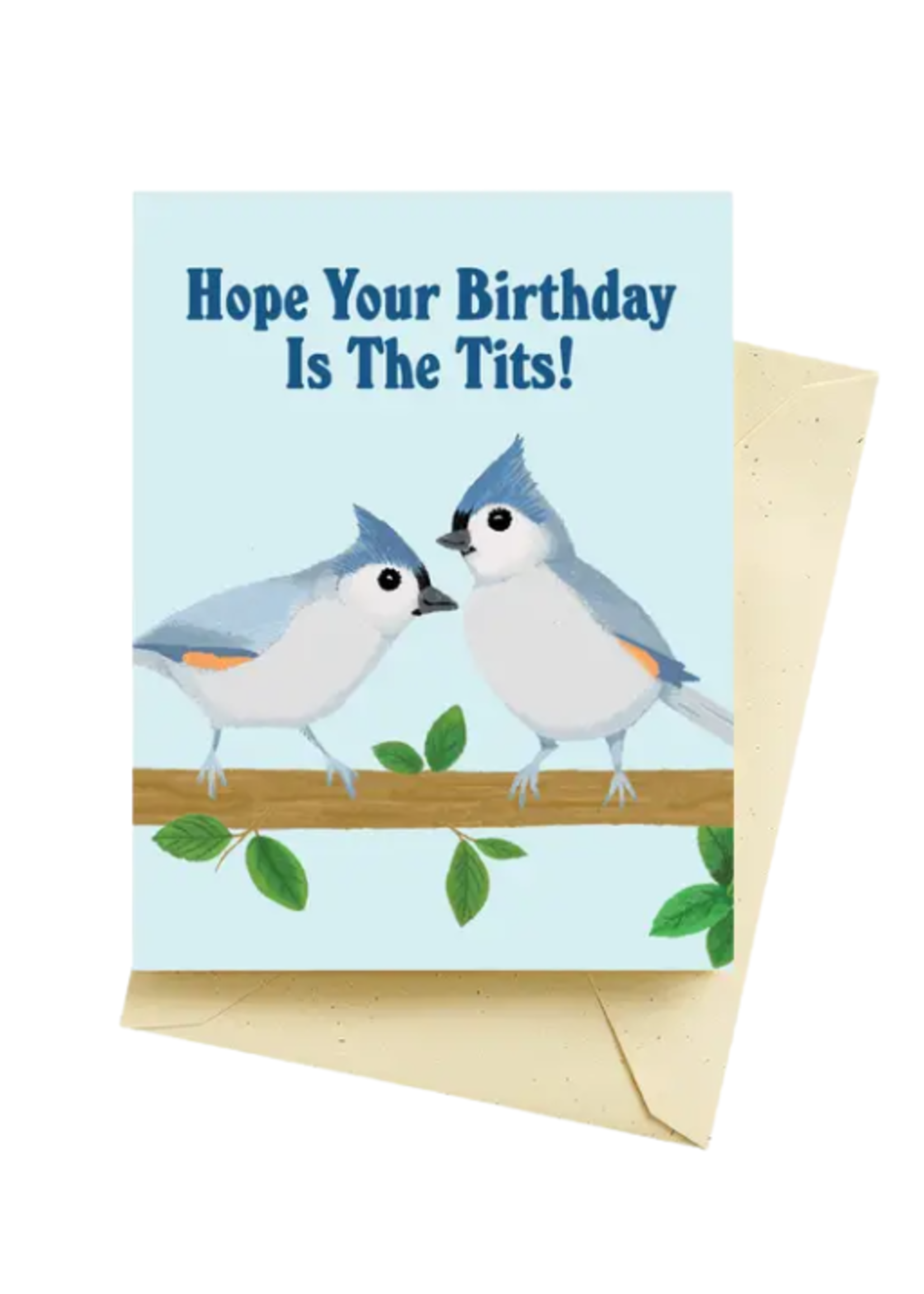 Seltzer Birthday Card - Titmouse Birds
