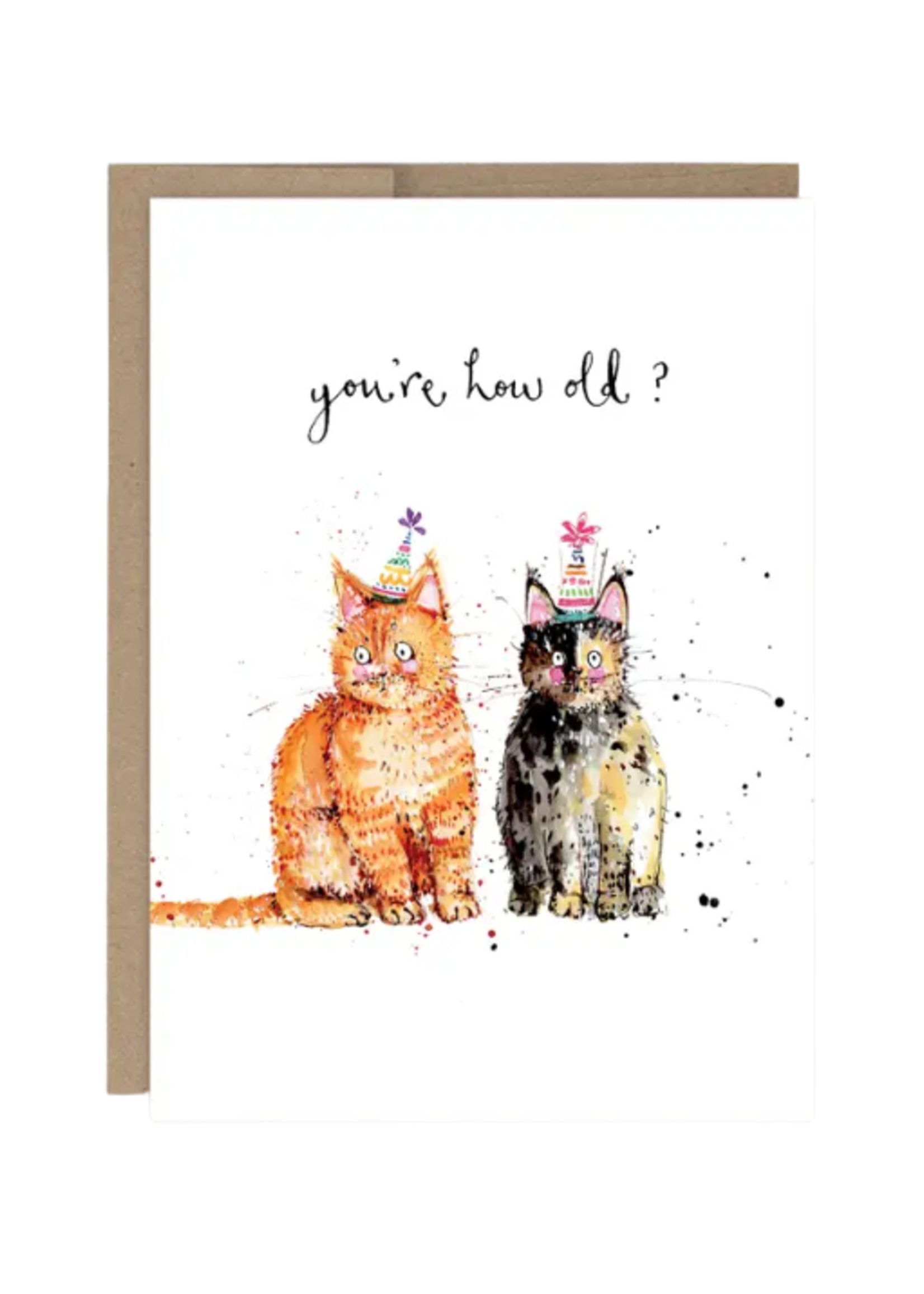 Biely + Shoaf Birthday Card - How Old? Cats