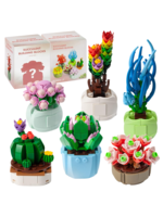 Monroe Meadow Boutique Succulent Blind Box