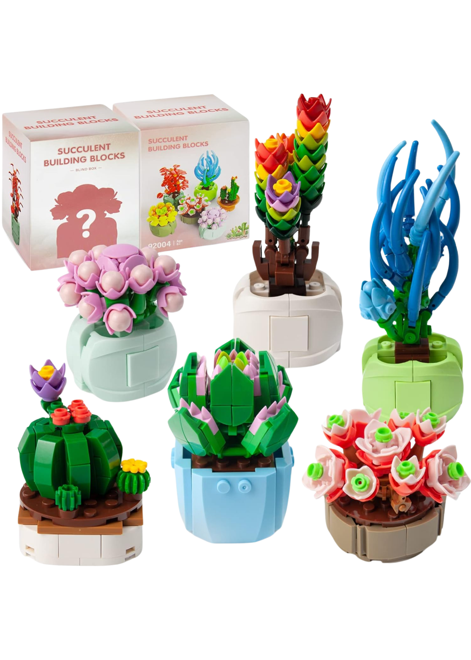 Monroe Meadow Boutique Succulent Blind Box