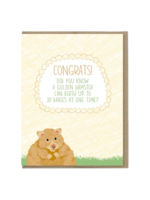Modern Printed Matter New Baby Card - Hamster Babies