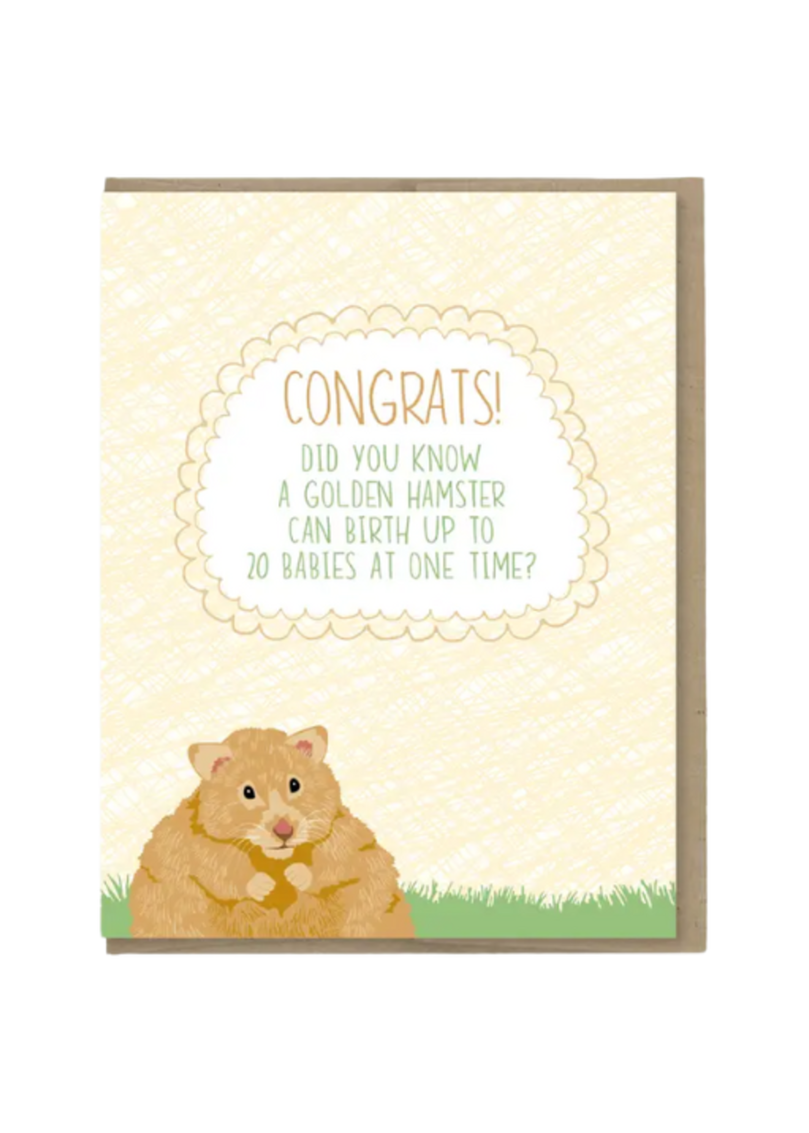 Modern Printed Matter New Baby Card - Hamster Babies