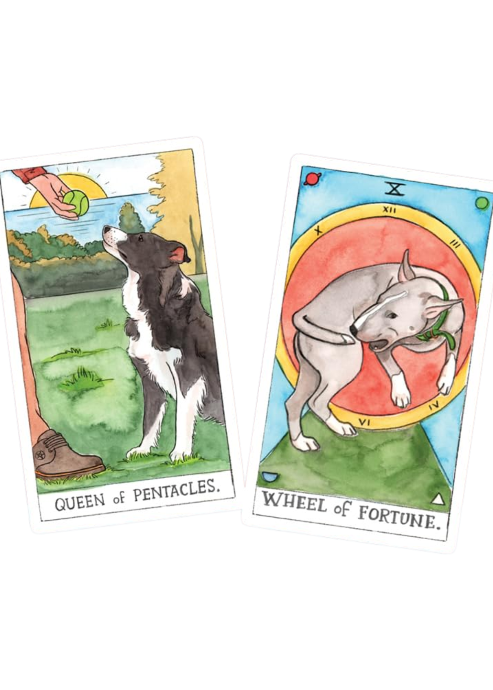 Chronicle Books Dog Tarot
