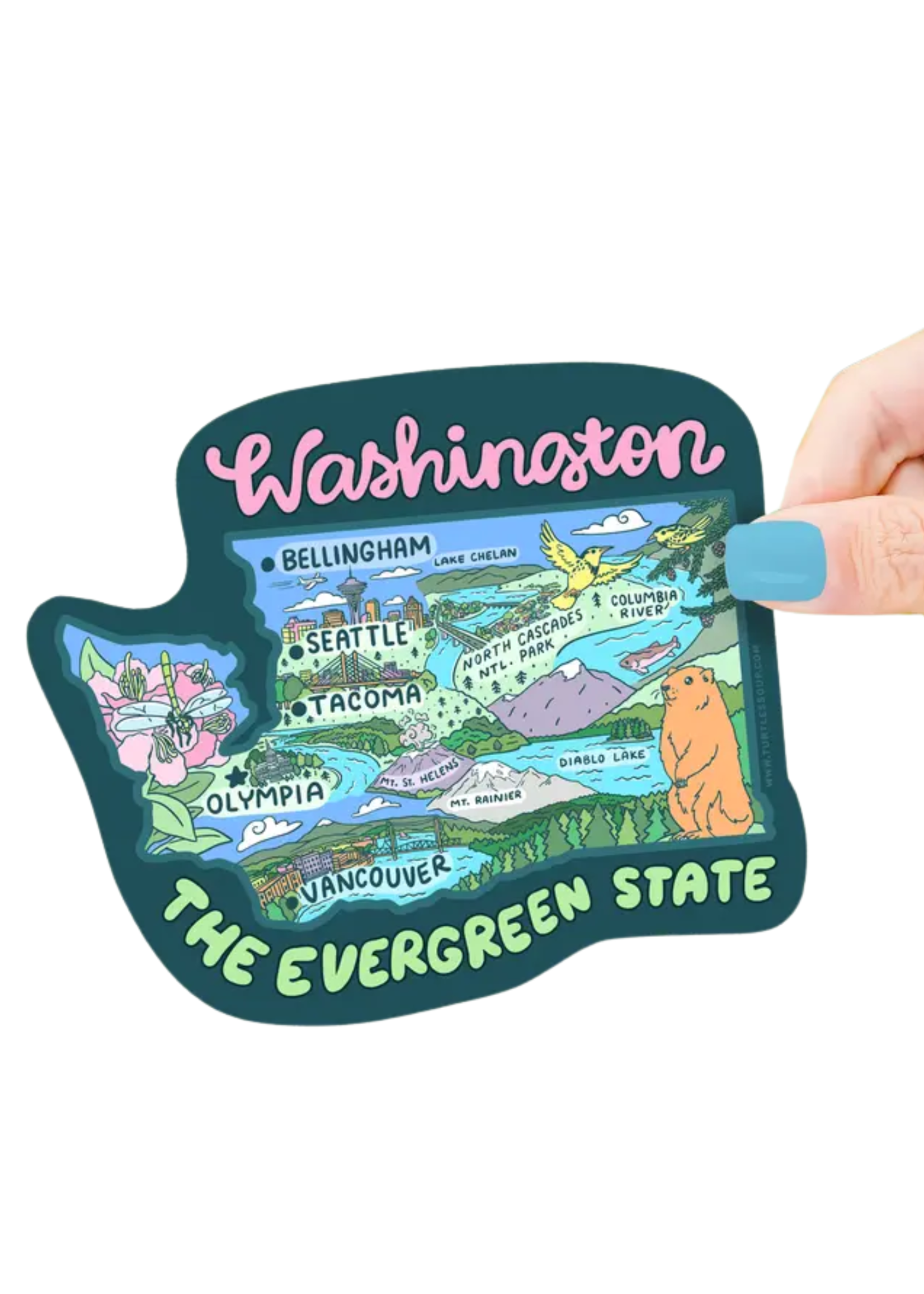 Turtle's Soup Washington State Map Sticker